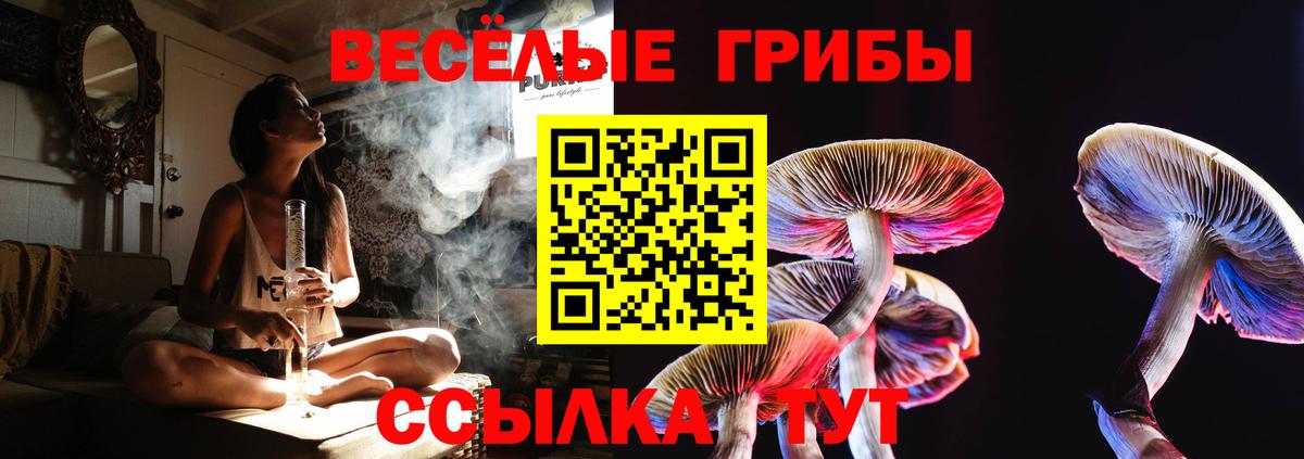 Галлюциногенные грибы Psilocybine cubensis  Вход с VPN  Котовск 
